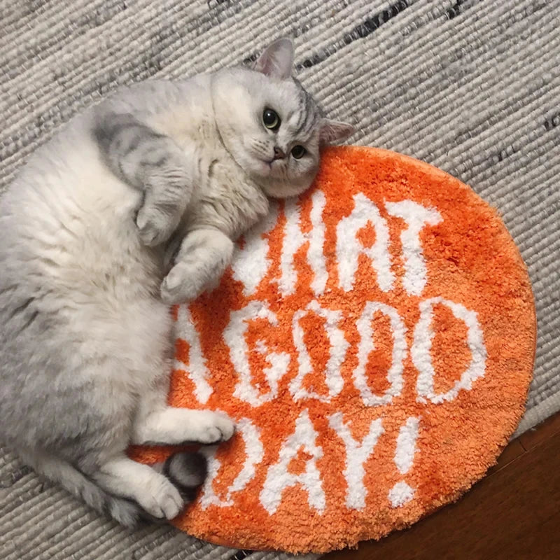 Ihomed Orange Flocking Floor Rug What a Good Day Pets Rug Living Room Nordic Bathroom Soft Fluffy Rug Bedside Carpets Entryway Floor