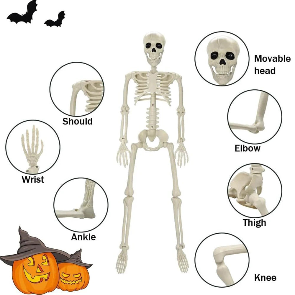 Ihomed 40cm Halloween Human Shape Skeleton,Posable Skeleton,Human Shape Bones,Halloween Herror Decorations,Haunted House Horror Props